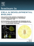 Metabolic remodeling in early development and cardiomyocyte maturation ...
