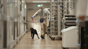 Male scientist and a dog in a laboratory setting